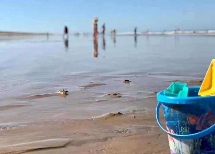 Maison Cosy Type 2 Avec Patio Paisible, Proche Centre Et Commerces - 3 Couchages - Fr-1-231-322 *