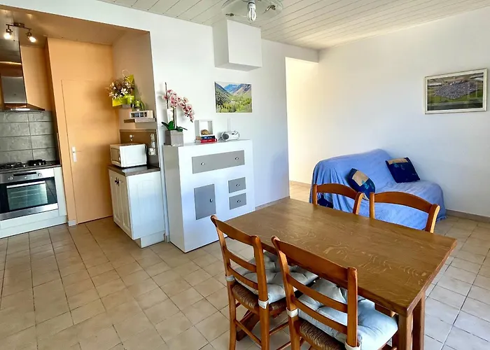 Ferienhaus Maison Cosy Type 2 Avec Patio Paisible, Proche Centre Et Commerces - 3 Couchages - Fr-1-231-322 *